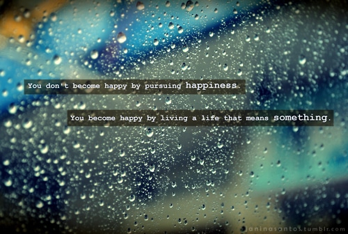 "You don't become happy by pursuing happiness.  You become happy by living a life that means something."