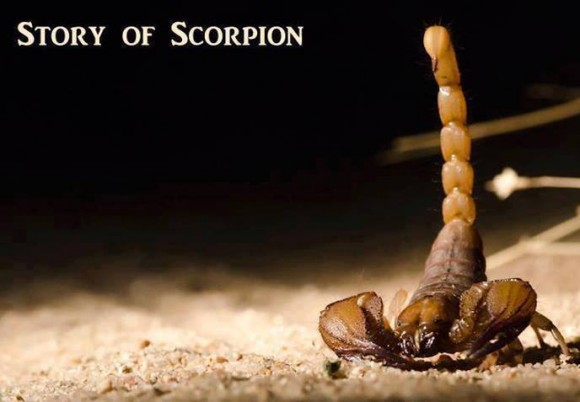 the scorpions quotes