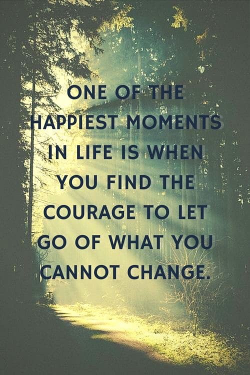 Letting something you cannot change control your happiness is pretty ridiculous, wouldn't you agree?