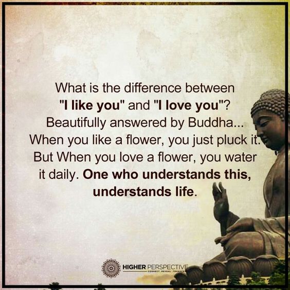 The difference between i love you and love you