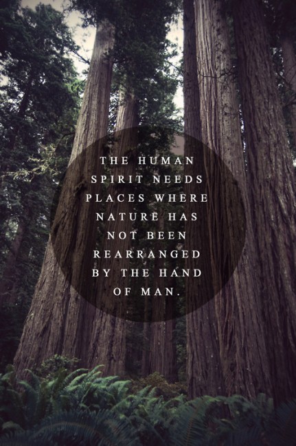 The human spirit needs places where nature has not been rearranged by the hand of man.