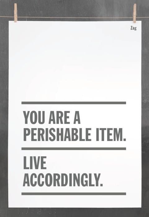 This is, indeed, a fact. You are a perishable item. Live accordingly.